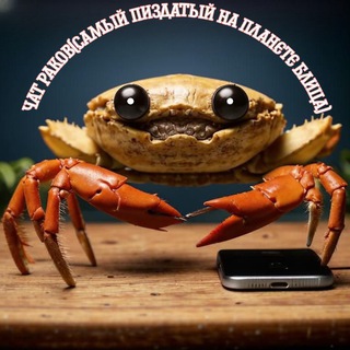 Чат раков(самый пиздатый на планете блица)