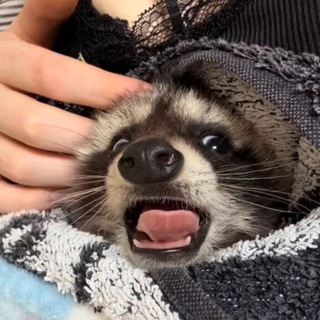 gothgirlssucksoulthroughdick