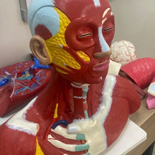 Med Xirurgiya 👩‍⚕️🫀