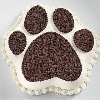 Foodies Furs