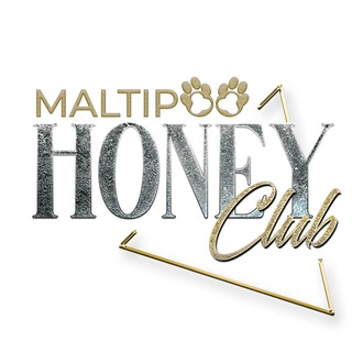 Maltipoo Honey Club