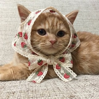Валерия