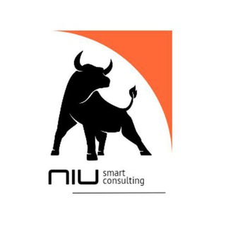 NIU smart consulting