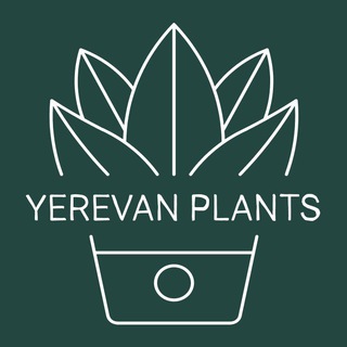 Цветочный Ереван 🪴 Yerevan Plants