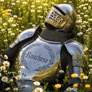 Обратная связь с Ronchese🟢
