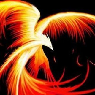 ❤️‍🔥 Firebird - Good Vibes | MindTreasure | #Seelennahrung | #Wissenswertes #Lebensfreude
