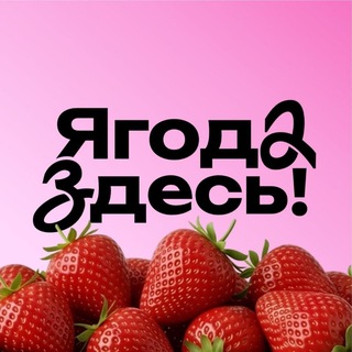 Ягода Здесь | Ягоды из Кыргызстана