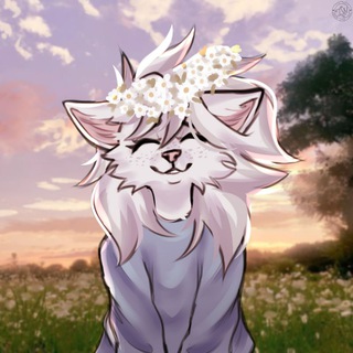✧ иʙоʙᴀя ᴨᴀᴧᴀᴛᴀ ( 18+ ) .
