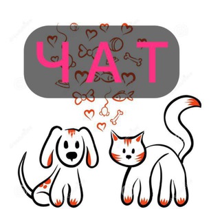 Потеряшки #потеряшки #chat #саратов #саратовобласть #животные #кошки #собаки