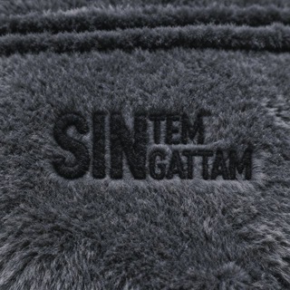 sintem