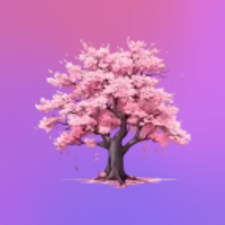 Арина Нуруллина🎀