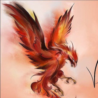 MoscowPhoenix: вопросы и анкеты