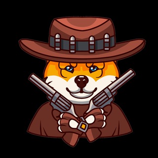 ShibaShootOut