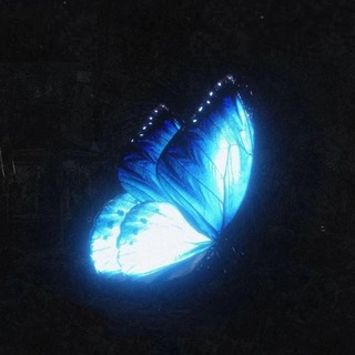 🦋 Schastlivaya🦋