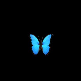 Частинка кави 🦋ྀི