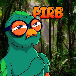 PIRB Bots (Portal)