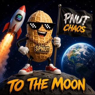🥜 PNUT CHAOS Official
