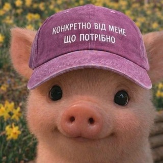 ᅠ𝚜𝚠𝚎𝚎𝚝_𝚝𝚘𝚡𝚒𝚌