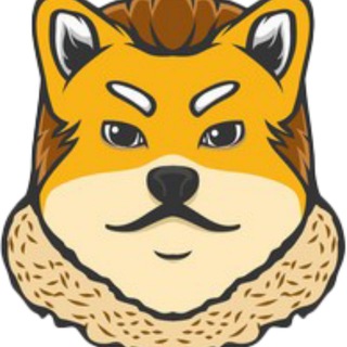 DollyDoges ETH - ERC20 Launching on November 8 at 8:00 UTC!