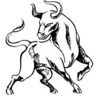 Mr. Bull