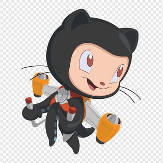 Ninja Developers