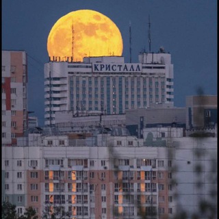 В Кемерово любят