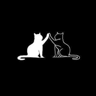 The Cats