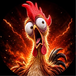 Panic POLLO 🐔🔥