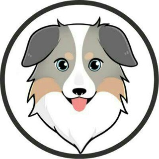 AssFinance Token