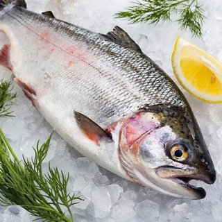 🐟Форель до дома‼️Свежая рыбка‼️Челябинск‼️