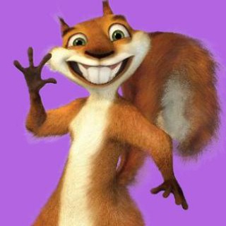 Crazy Belka chat