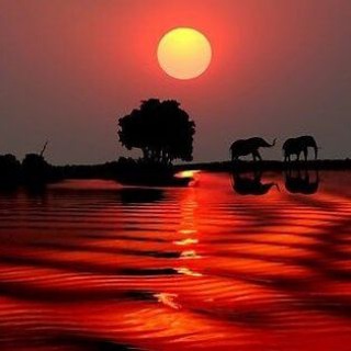 awadi