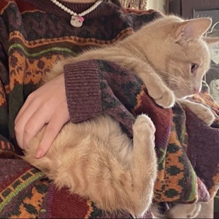 ଽ◞˚ⲡⲣⲁύⲥυⲕ « ⲡⲣяⲏⲁя ⲗюⳝⲟⲃь »🐈ᯓ ˖ ࣪ ִֶָ 🤎