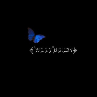 حيث الاطمئنان🦋.