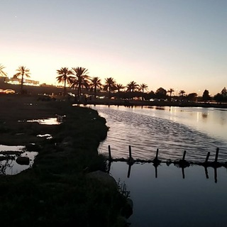 ْاسامه١.