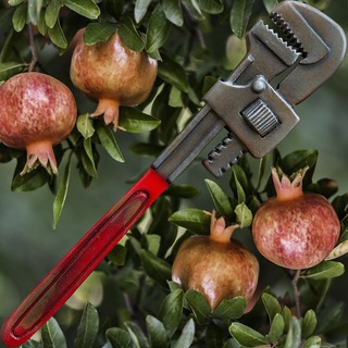 ecopraxia_bot