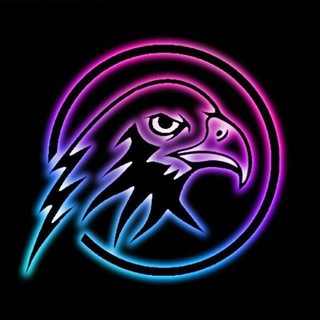 Eagle Support