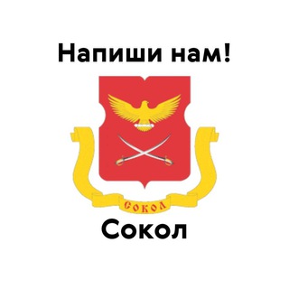 Сокол, напиши нам!