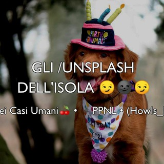 Gli Unsplash dell'Isola Che Non C'è