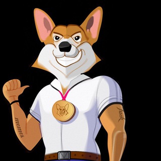 Shiba doge official