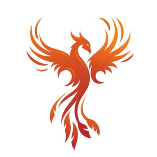 Phoenix 🐦‍🔥 Получится и у тебя!