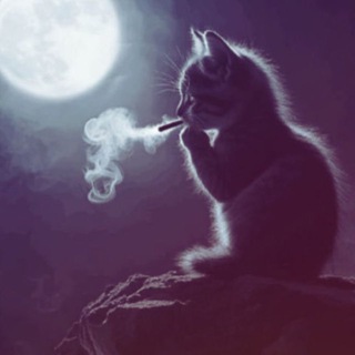 вᴀзᴇвич.мп3