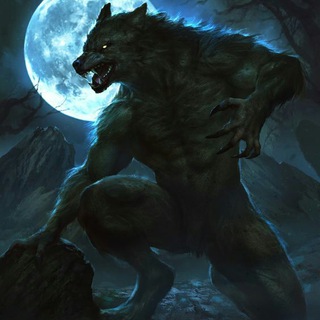 Los Lobos y El Pueblo 🐺