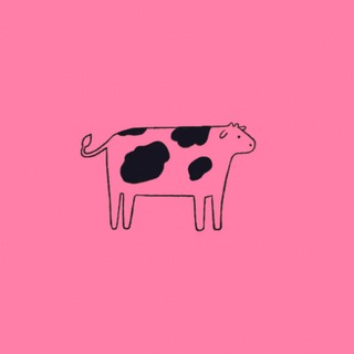 🥛 молоко-рулз!