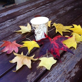 𝓜𝓸𝓶𝓲𝓳𝓲🍁