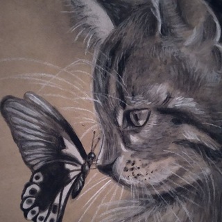 ART_JAYRONA_
