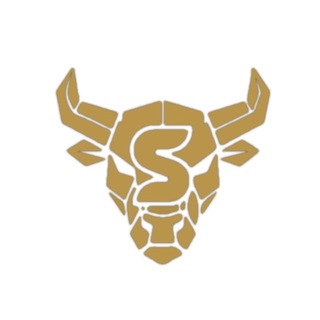 SCANDIC COIN (SNC-Group)