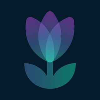 Tulip Protocol Official ✪