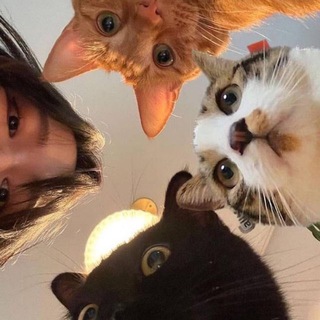 ɴɪɴᴇᴛᴇᴇɴ