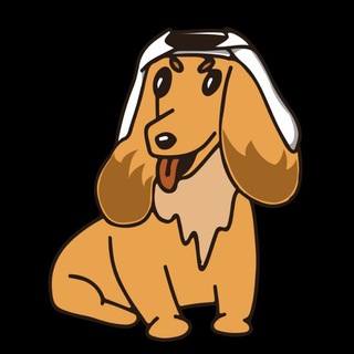 DubaiDoge Official